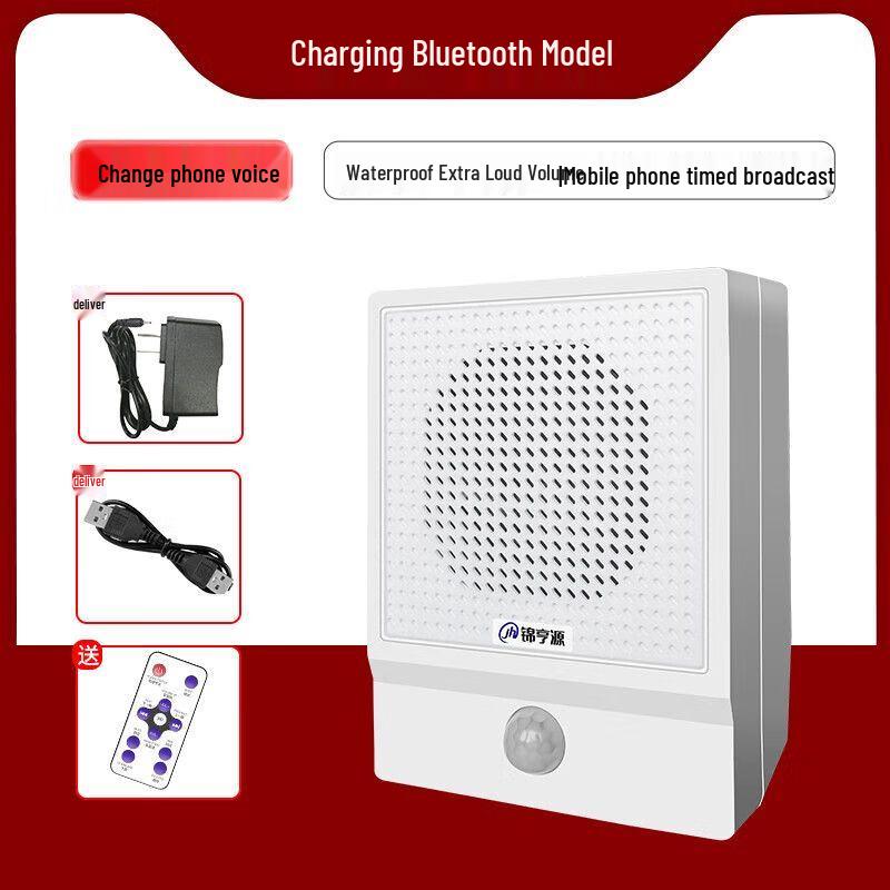 Solar Infrared Motion Sensor Voice Announcer