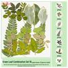 Handmade Pressed Flower Bookmark and Epoxy Sticker Pack with Real Leaf and Plant Specimens for DIY Face Makeup.