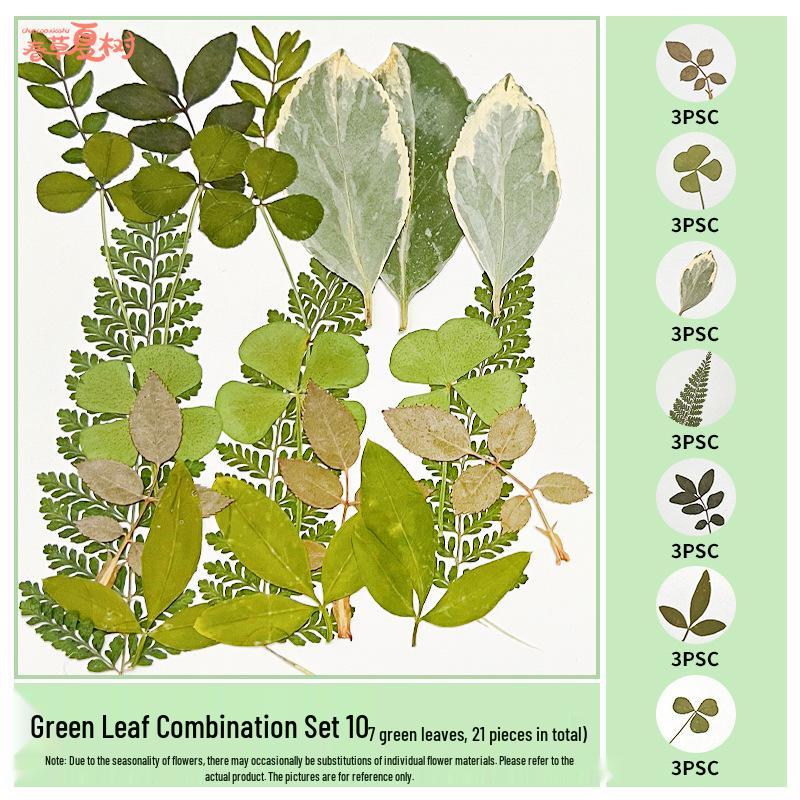 Handmade Pressed Flower Bookmark and Epoxy Sticker Pack with Real Leaf and Plant Specimens for DIY Face Makeup.
