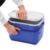 COLEMAN Excursion Cooler 16QT Keeps Cool for About a Ideal for Outdoor Sports Cherry Blossom Club and Durable and Provides Strong Perfect for Hot /