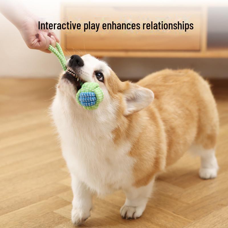 Carrot Chew Toys for Small and Medium Dogs - Self-Entertaining and Boredom Relief