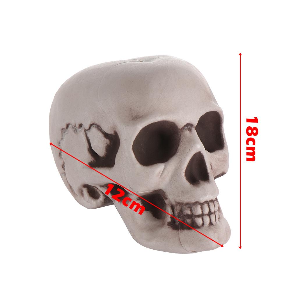 All Size Terrible Human Skeleton Skull Head Halloween Props Skeleton for Bars/Coffee Bars/Haunted Houses/Halloween Party Decor
