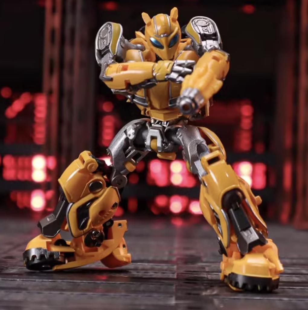 ROBOT TOYS DT-01 Little Bee