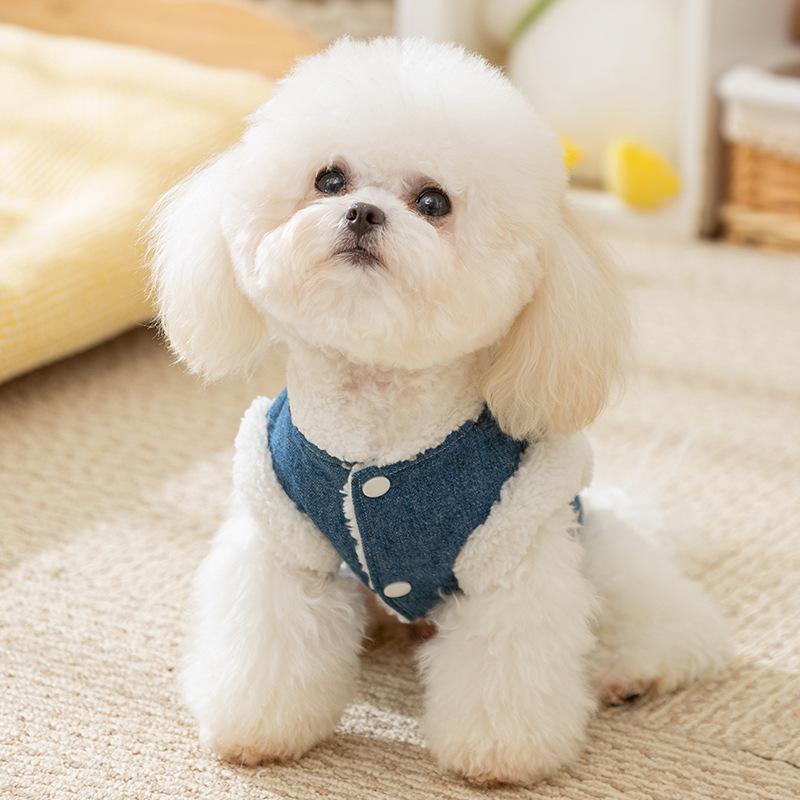 Dog Cotton-padded Clothes Thickened Warm Medium and Small Dog Bear Embroidered Denim Traction Two-legged Cat Teddy Pet Clothes
