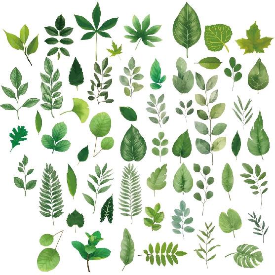 CRASPIRE Green Leaf Window Decal 8 Sheets Adhesive Jungle Leaves Window Stickers Removable Waterproof PVC Clings for Home Living Room Balcony Kitchen