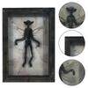 Mysteriöses Geister-Exemplar Fotorahmen Fledermaus-Display Harz Gotische Bilderrahmen Dekoration Kuriositäten und Seltenheiten Tierpräparate