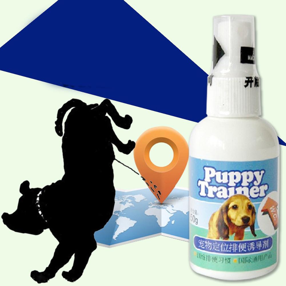 pet corrector 50ml