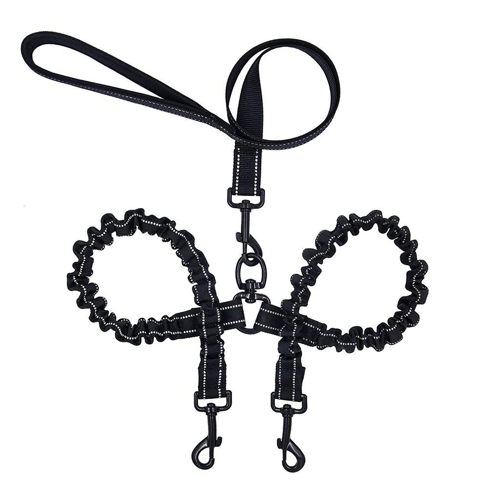 double dog leash swivel