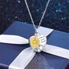Stainless Steel Pet Urns Holder Necklace for Dogs Cats Pet Memorial NecklaceKeepsake Loss Pet Remembrance Gift Jewelry