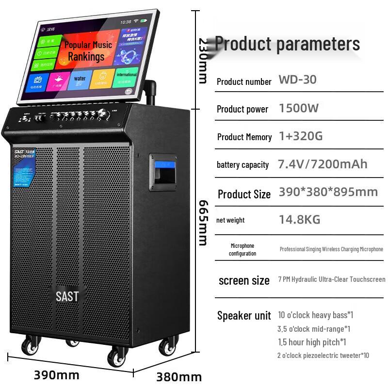 

SAST WD-30 All-in-One Home Karaoke System