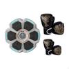 Music Boxing Machine Wall Target Electronic Men Women Light Punching Pad