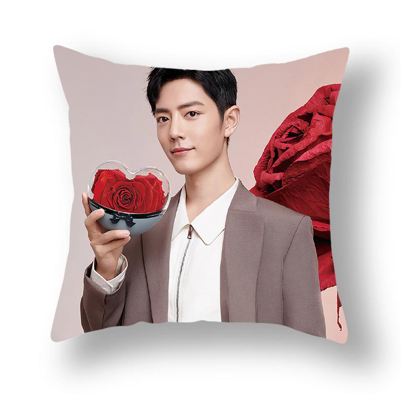 Promi-Druck Kissenbezug Werbung Sofa Nachttisch Kissenbezug Kissenbezug