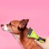 Mogapet pet tangle removal brush MOP-010, Korean pet shampoo