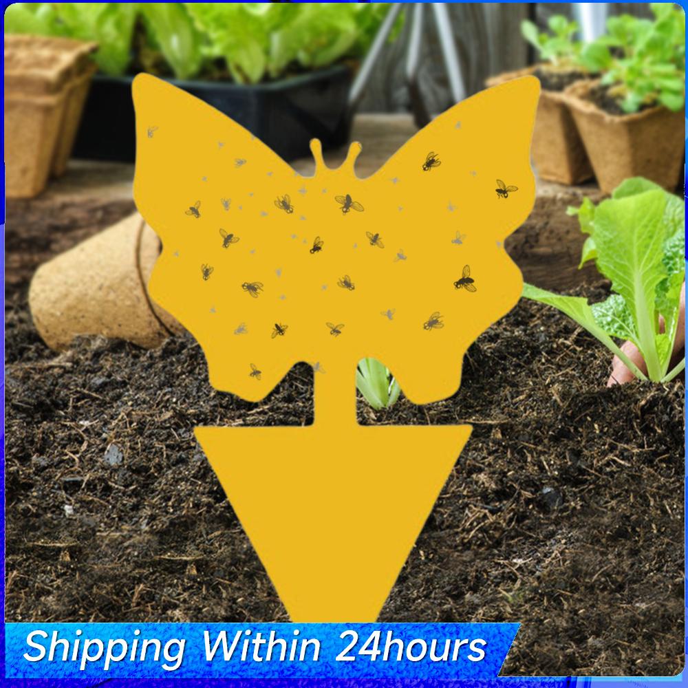 

40Pcs Yellow Fly Sticky Traps Protect The Plant Insect Traps Non-Toxic Odorless Gnat Sticky Traps for Garden Kitchen China Mainland