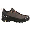 Salewa ALP TRAINER 2 men's shoes brown 00-0000061402_7953 size 46.5