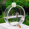 Cage Bird Water Feeder Automatic Drinking Device Sturdy Bottle for Parrots and Aviary Birds Hydration