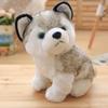 Curly Teddy Dog Plush Doll - Children's Birthday Gift Ragdoll Toy
