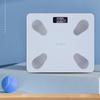 Xiangshan High-Precision Body Fat Scale