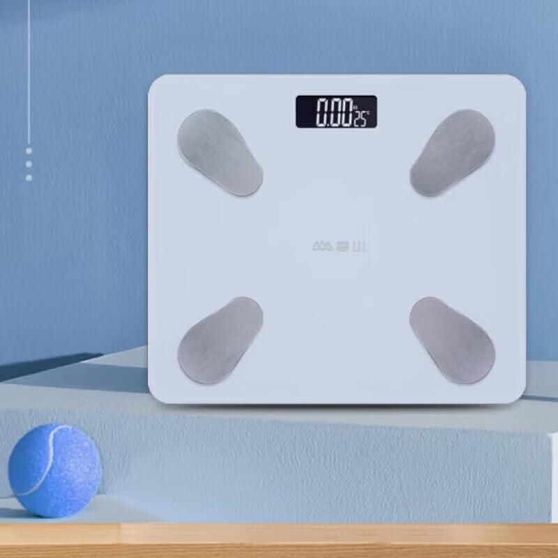 Xiangshan High-Precision Body Fat Scale