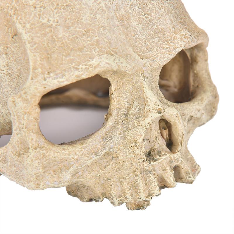 Human Skull  Model Fishtank Aquarium Landscaping Accessories For Scorpion Spider Lizard Snake