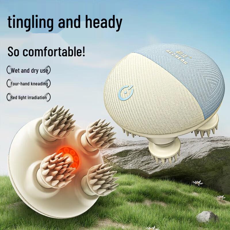 HEZHENG Trocken- & Nasskopfhaut-Massager