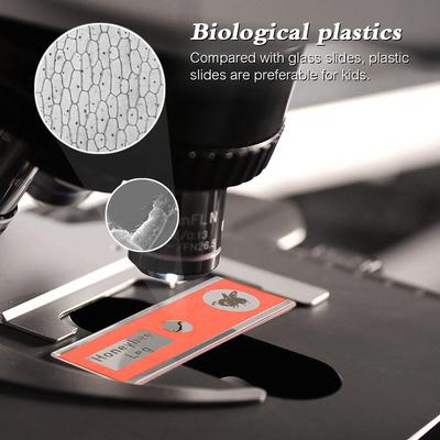 35/48 Piece of  Microscope Specimen Slide Biological Prepared Digital Microscope Specimen Slide Primary and Secondary Gifts