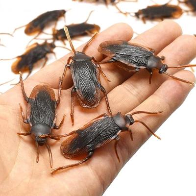 10pcs/lot  Special Lifelike Model Simulation Fake Rubber Cock Cockroach Roach Bug Roaches Toy Prank Funny Trick Joke Toys