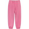 Nike X Stussy Collaboration FW22 Logo Print Casual Joggers Spring Edition Unisex Bottoms Pink DO5297-670
