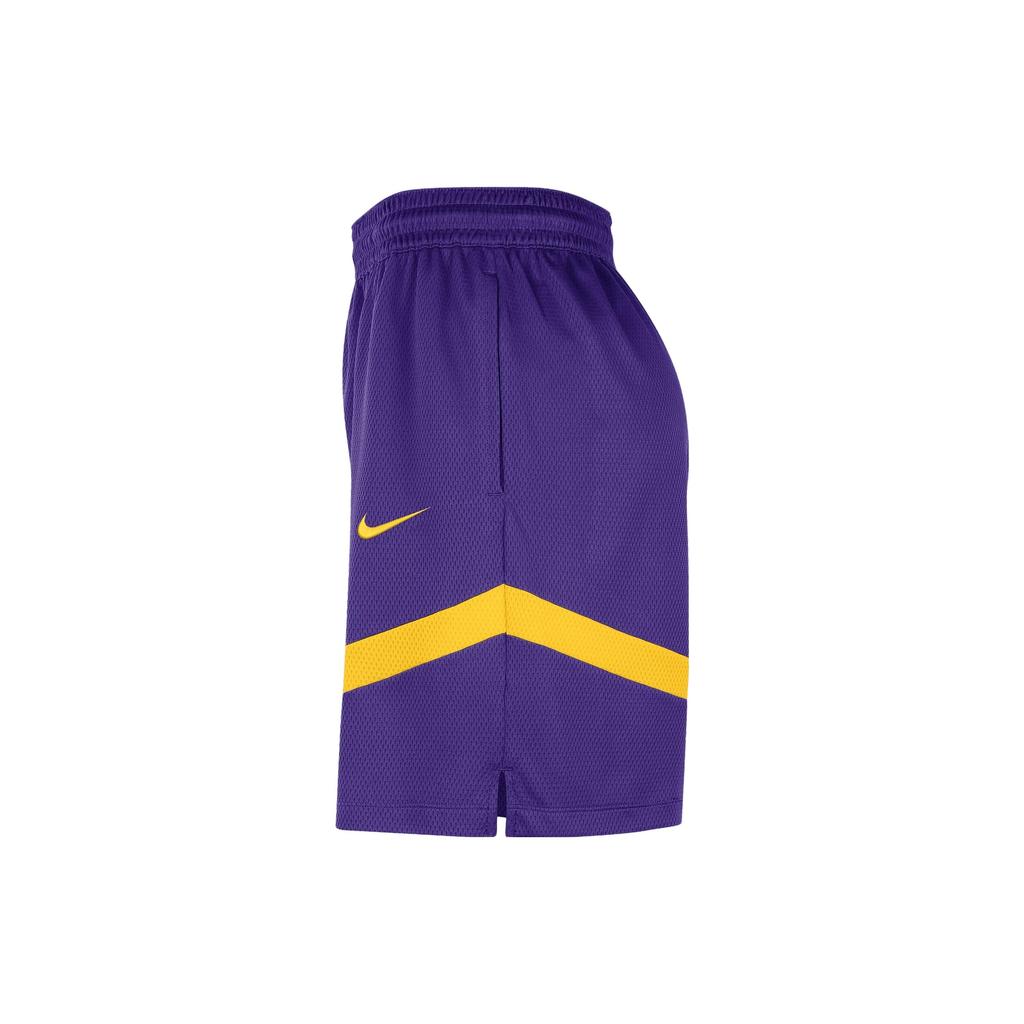Nike Los Angeles Lakers Dri-FIT NBA Color Block Logo Training Straight Leg Basketball Pants Men bottoms Deep-Purple DZ3722-504