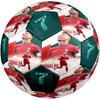 Ronaldo's Portugal Celebration Soccer Ball Size 5 Football Machine-Stitched Indoor/Outdoor Universal Football