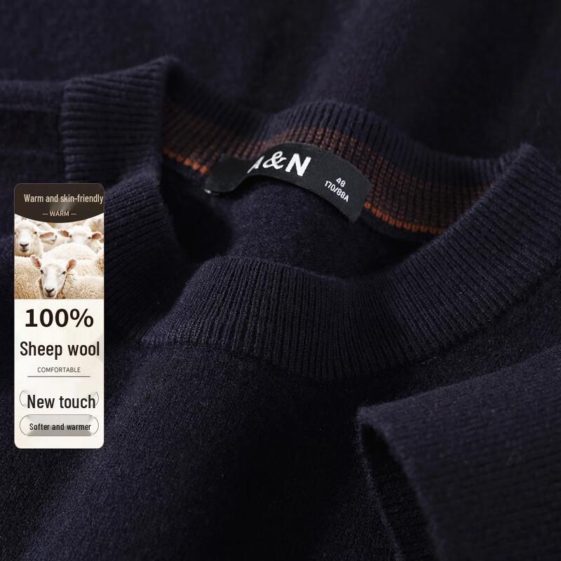 Antonio Men's 100% Wool Crew Neck Sweater