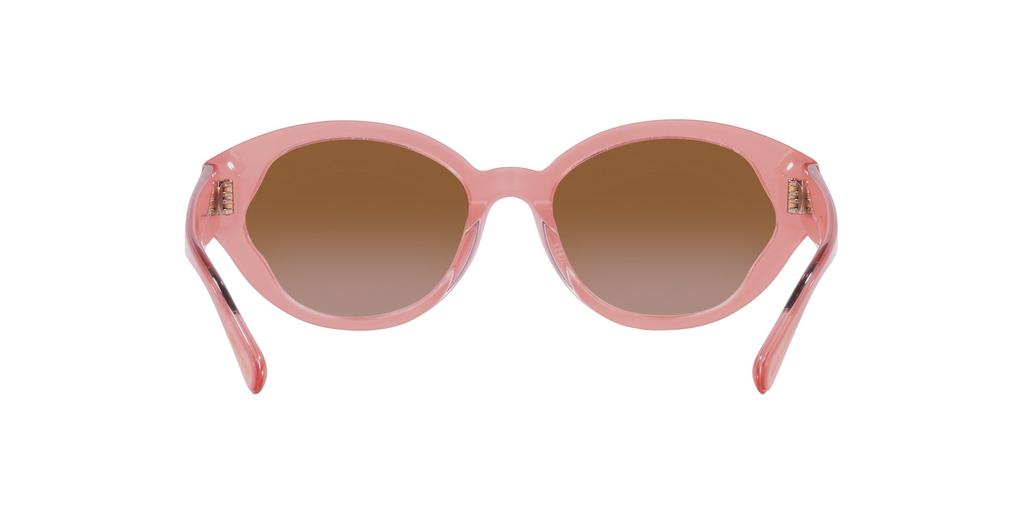 Coach Sunglasses HC8364U CH569 Milky Pink Gradient Lens 55 Pink/Transparent Frame/Brown