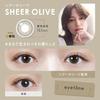 Cleo Eyetone One-Day Lenses, 10 Lenses per Box, Sand Beige, BC 8.5, PRW -1.50