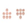 Soft Silicone Flexible Model Body Part Displays Set