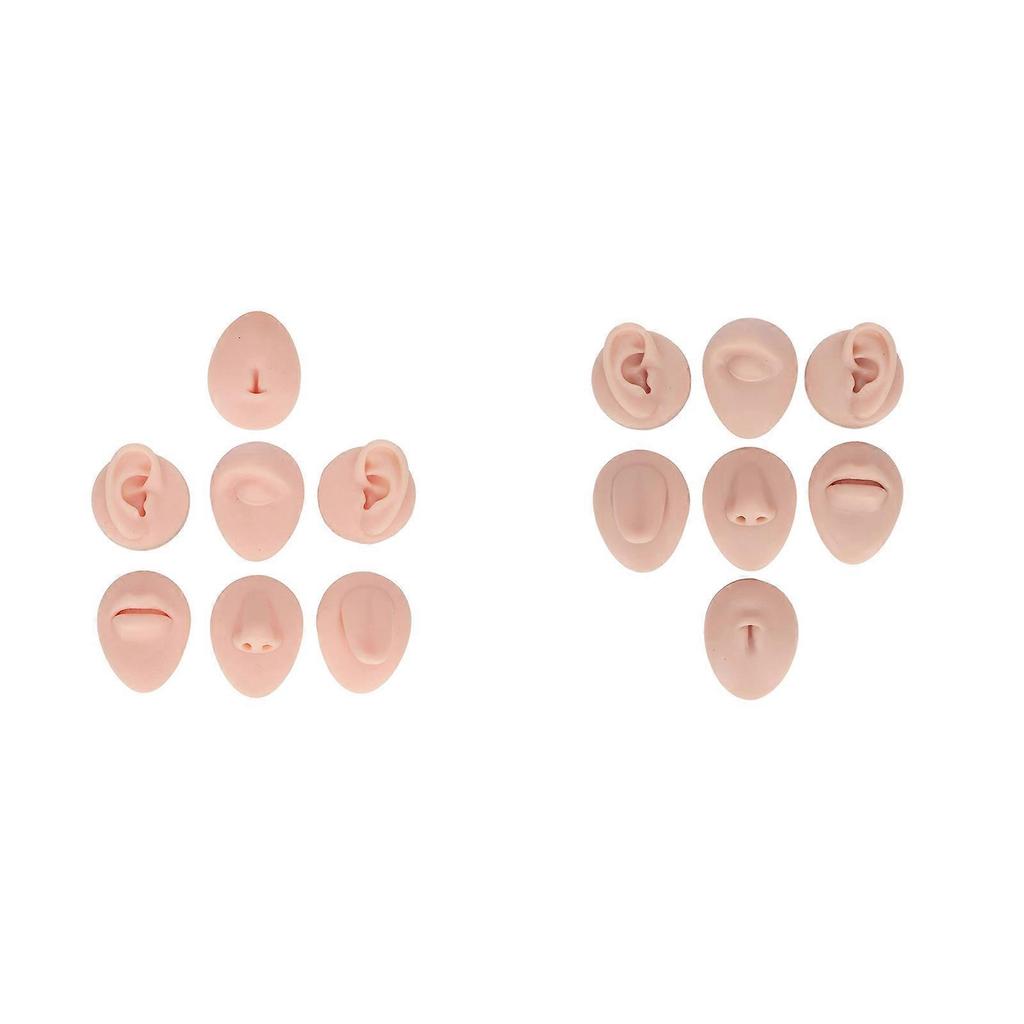 Soft Silicone Flexible Model Body Part Displays Set