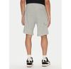 Шорты DC Shoes Millenia