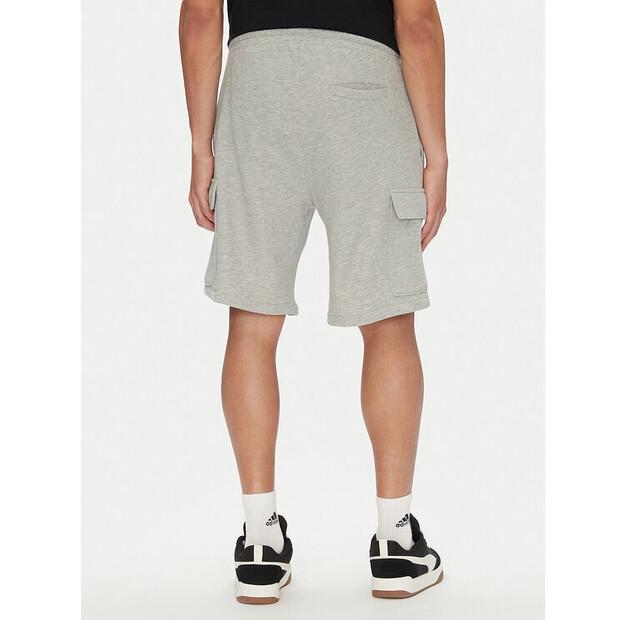 Шорты DC Shoes Millenia