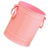 Pen Holder Pencil Bucket Plastic Makeup Brush Organizer Desktop Stationary Supplies Container with Handles for Office School Home Pink