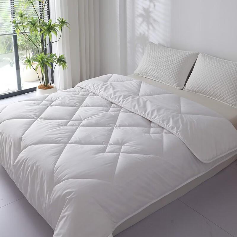 MINISO Bordeaux Washable Winter Duvet
