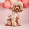 Lovely Plaid and Lace Small Dog Dress Valentine's Day Dog Outfit Party Puppy Costume Spring Cat Skirt