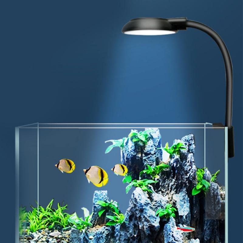 5W Aquarium USB LED Licht Mini Klemmleuchte Mit Verstellbarem Schlauch Meerwasser Aquarien Korallenbecken Aquarium