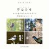 Sailor Fountain Pen SHIKIORI - Shikiori - Song of the Wilderness Fountain Pen Pheasant Nib 14K Domestic Medium Fine 11-1231-304
