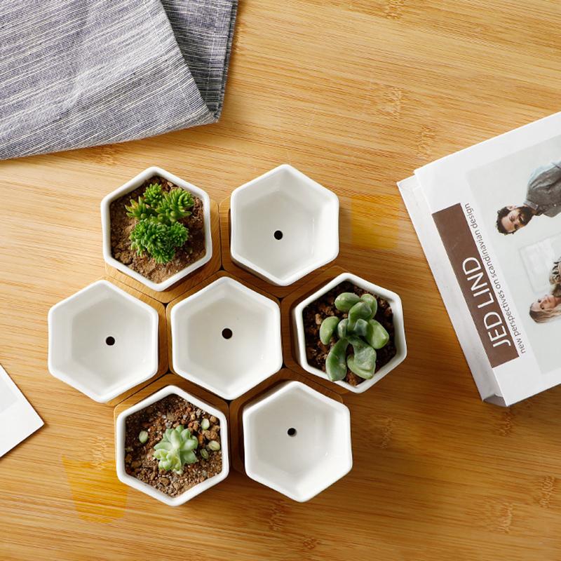 Seramik Saksı Beyaz Altıgen Seramik Saksı Tepsili Avrupa Saksısı Basit Sukulent Bitki Kabı Küçük Bonsai Saksıları