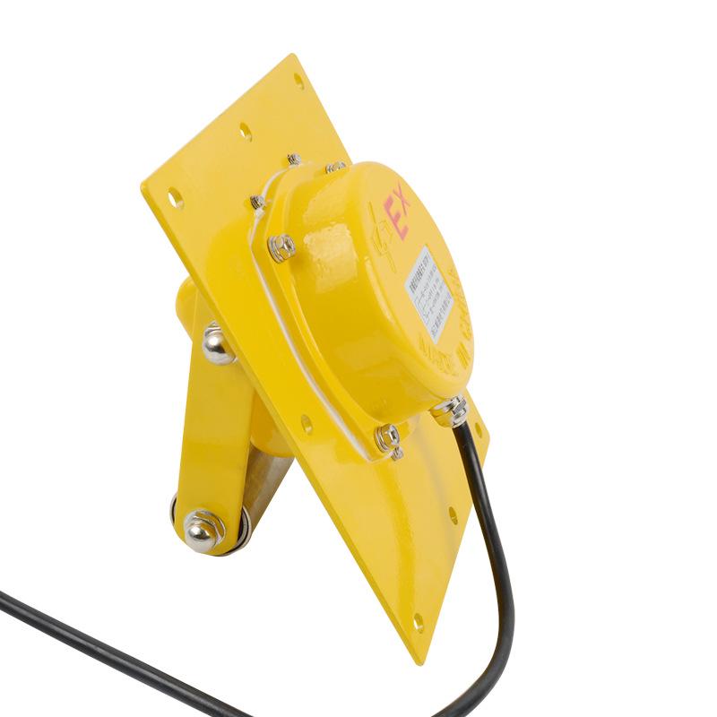 Explosion-Proof TDP-1 Belt Elevator Deviation Prevention Switch BXTDP-1
