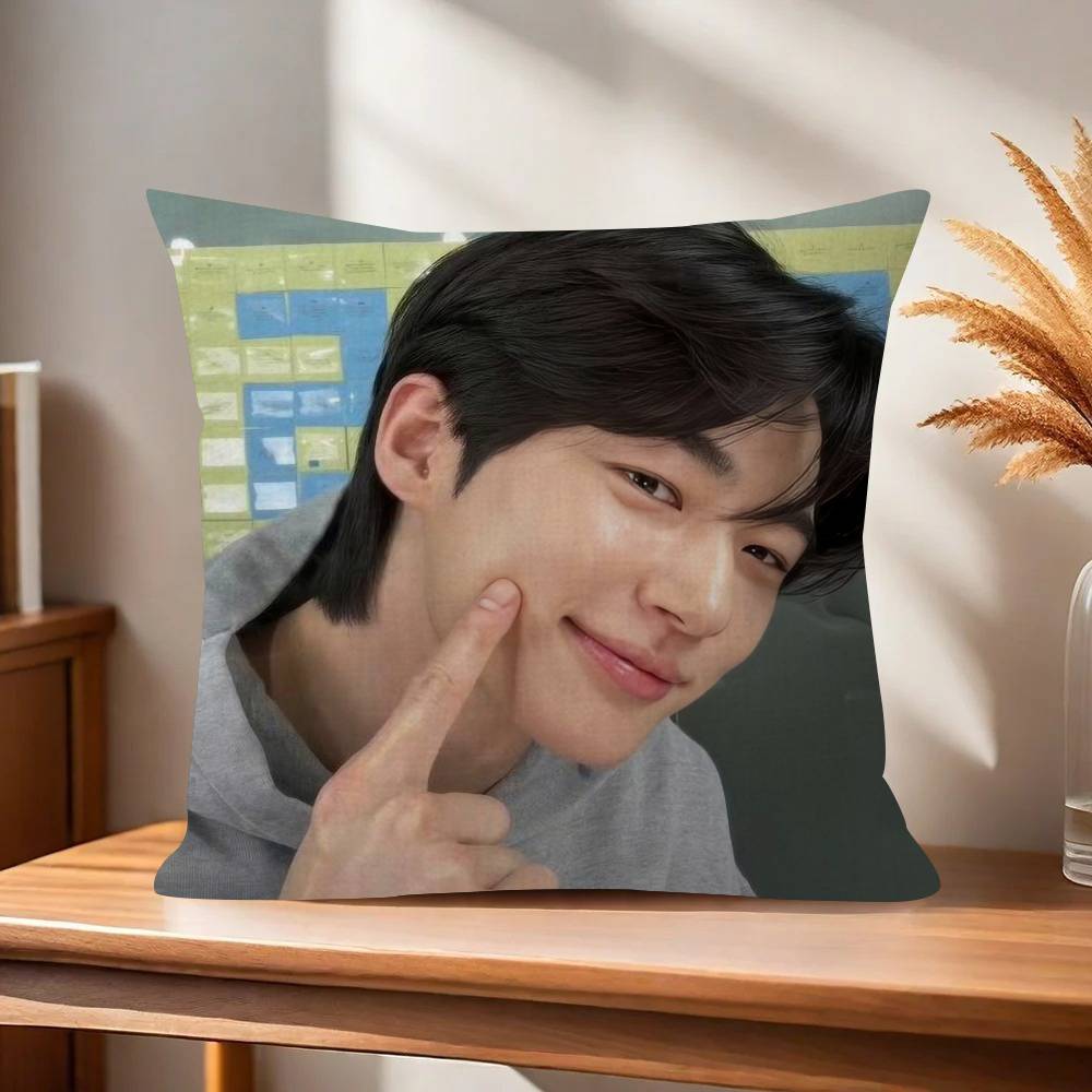 Korean Celebrity Byeon Wooseok   Pillowcase toon Gift Cushion Cover Bedroom Home Sofa Chair Seat Decor pillow case
