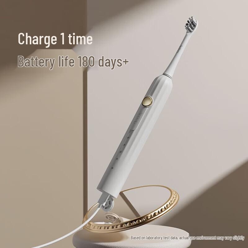 ApiYoo T1 Sonic Electric Toothbrush for Adults CN plug (adapter included)
