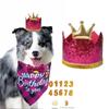 British Plaid Pet Birthday Hat and Bib Set for Dogs and Cats