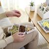 Christmas Tree Shape Living Room Candy Snacks Nuts Seeds Dry Fruits Plastic Plate Dishes Bowl Breakfast Plates Tray Tableware