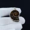 Ammonite Fossil Silver Pendant 925 Sterling Silver Pendant Gemstone Silver Jewelry Handmade Pendant Gift For Him Ammonite Fossil Jewelry