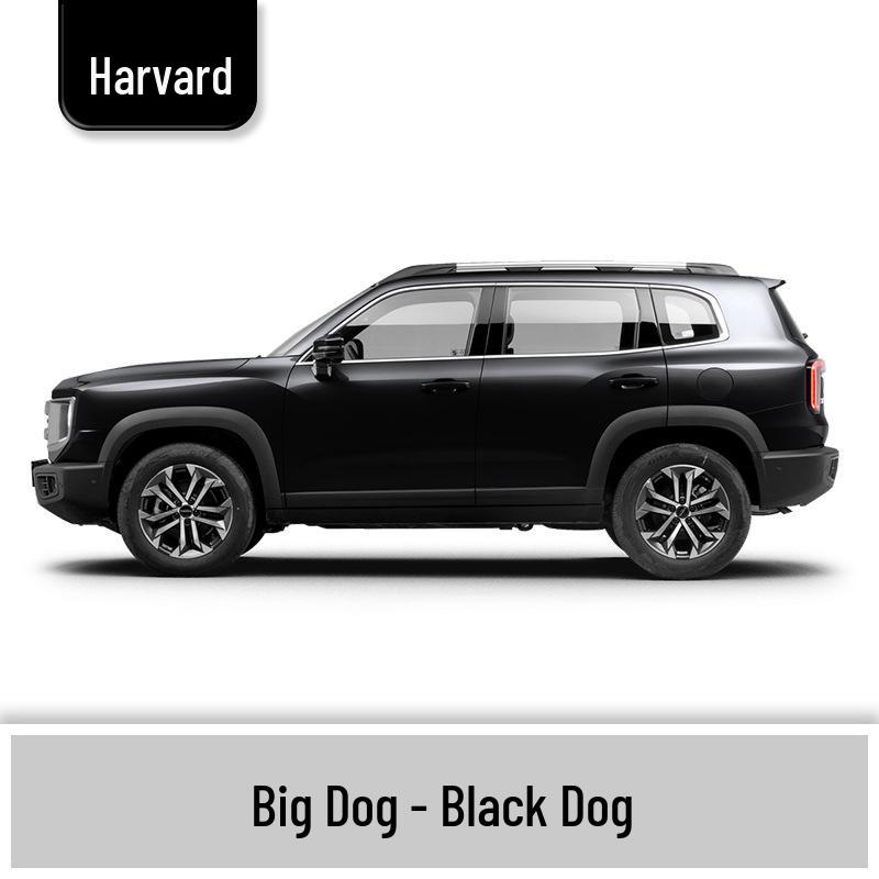 Haval Big Dog Car Scratch Repair Paint Pen - White, Black, Gray, Orange